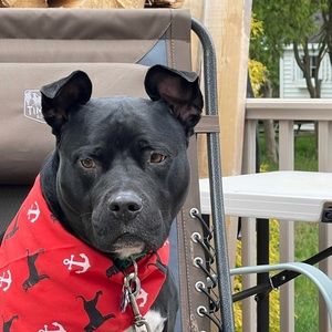 Meet your Posher, Moriah